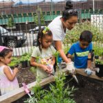 Whoopi Goldberg Instagram – Thx @nyrp for giving #nyc parks and gardens – especially now!  You’re giving every New Yorker access to nature in their neighborhood.  Keep up the good work.  Check them out.