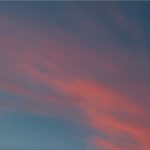 Willa Holland Instagram -