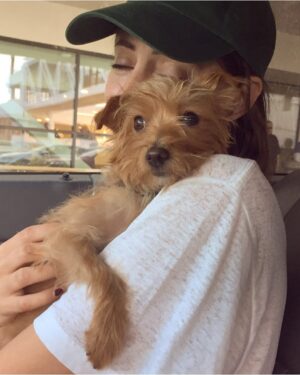Willa Holland Instagram - My child