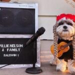 Willie Nelson Instagram – It’s October and you know what that means? It’s time to get your Willie Nelson costume! You could look (almost) this good by snagging Willie Nelson braids and a Shotgun Willie Tee in the online store. Gets yours today before they’re gone at the link in bio!