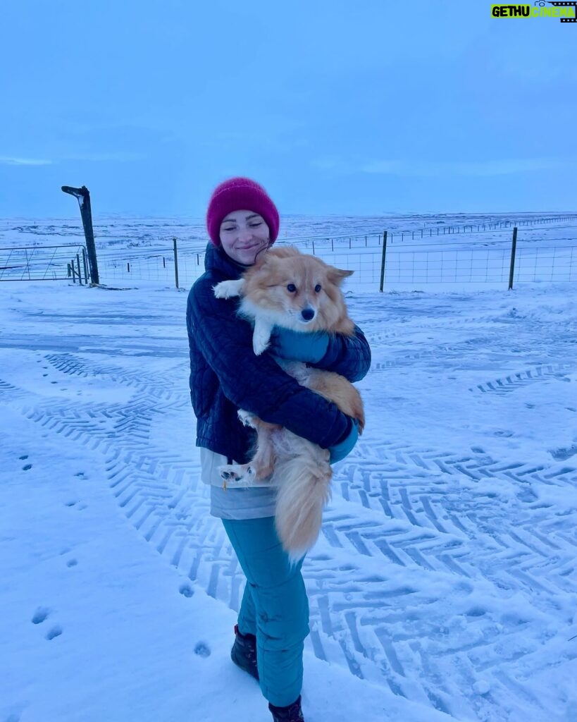 Willow Shields Instagram - First 48 hours in Iceland• stuck in a horrible blizzard, took us over 6 hours to dig ourselves out, learned to use tractors, got shocked by an electric gate, slipped on the ice, and only ate a bag of chips and soup. But also met 3 week old puppies, beautiful horses, and wonderful people. 🫶🏻