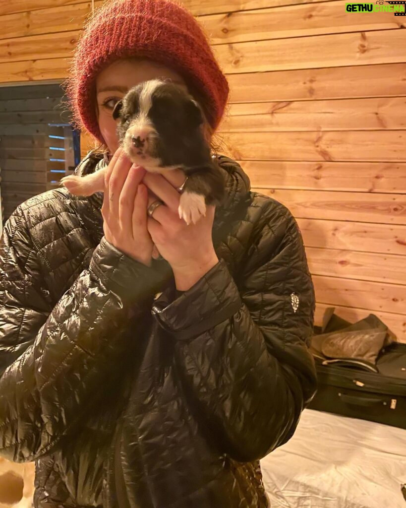 Willow Shields Instagram - First 48 hours in Iceland• stuck in a horrible blizzard, took us over 6 hours to dig ourselves out, learned to use tractors, got shocked by an electric gate, slipped on the ice, and only ate a bag of chips and soup. But also met 3 week old puppies, beautiful horses, and wonderful people. 🫶🏻
