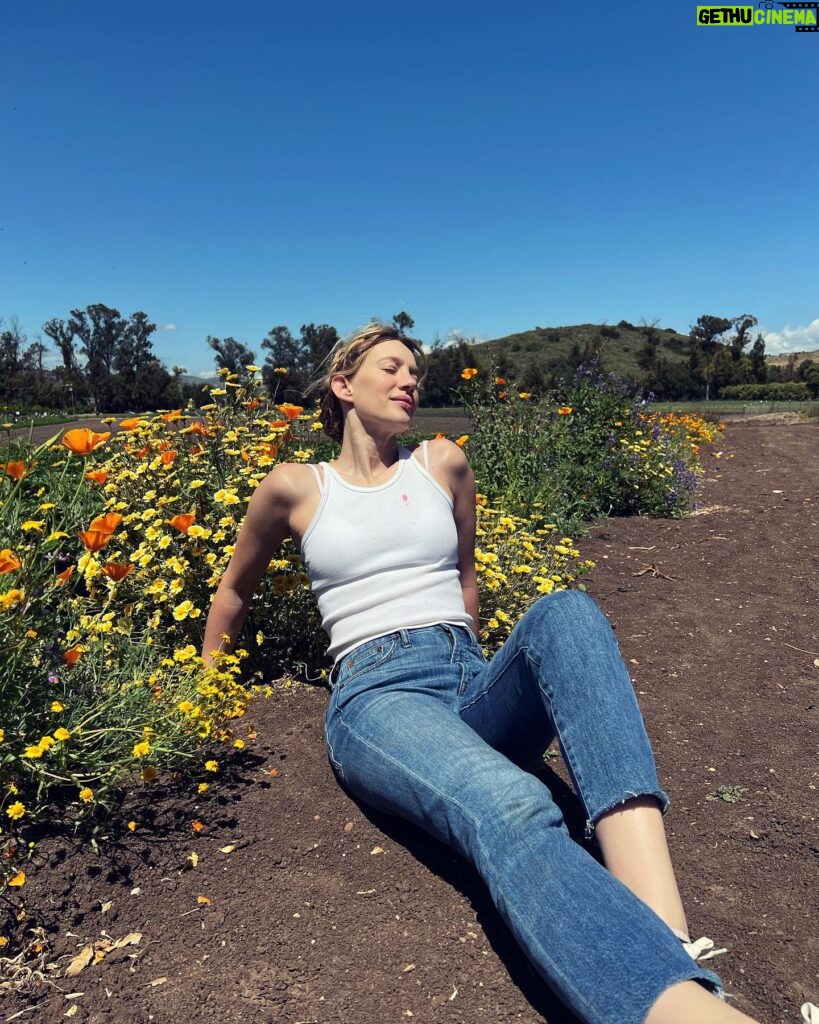 Yael Grobglas Instagram - Moments after eating the hundredth strawberry I picked. Some of which can be found on my shirt 🍓