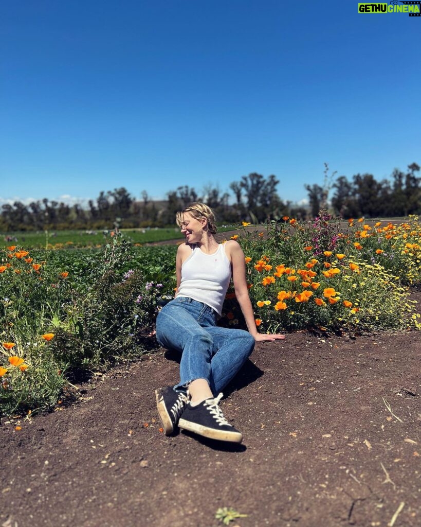 Yael Grobglas Instagram - Moments after eating the hundredth strawberry I picked. Some of which can be found on my shirt 🍓
