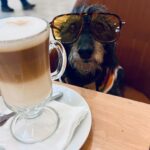 Yamila Reyna Instagram - Nuestros domingos ♥️ @elchangoernes 🐾 Cuál es su mejor panorama con sus mascotas? Los leemos 🐶🤓