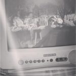 Yeo Joo-ha Instagram - ･ ｡　　★彡 ☆彡｡∴｡｡　☆彡　･ 　･ﾟ*｡★彡･ ｡*･ﾟ　★彡 　　･ ｡･*･ﾟ｡　　 ･ 　･ ｡･*･ﾟ｡ 　　　　　　　GN 　　　(˘ω˘) 　　 　　　ﾉ( ﾍ ﾍ -^ﾞﾞﾞ`ﾞﾞﾞﾞ`ﾞﾞﾞ`ﾞﾞ`ﾞﾞ^-