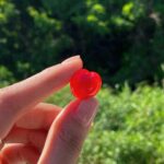 Yeon-woo Instagram - 근래