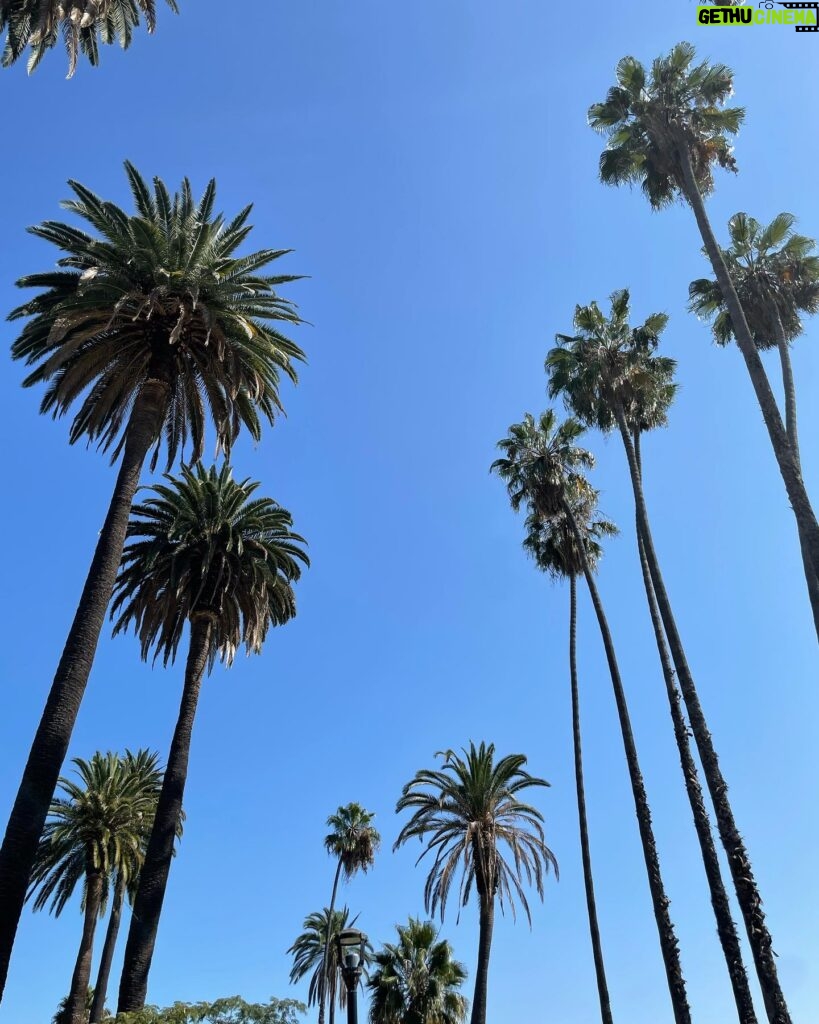 Yeonjung Instagram - 🌴✨😎