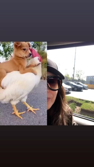 Yolanda Andrade Thumbnail - 2.6K Likes - Top Liked Instagram Posts and Photos