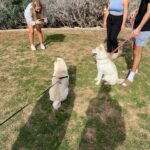 Yongwaree Anilbol Instagram - went through my phone and found 🐶🍦🌈🏌🏻‍♀️⚾️🌞🦆🛩️