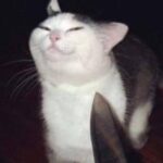 Yoo Ji-min Instagram - 🐈‍⬛