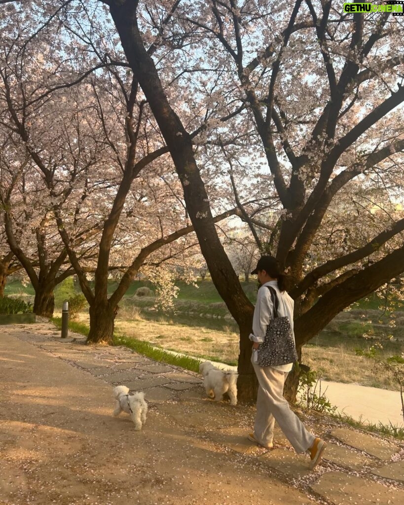 Yoon Bo-mi Instagram - 🐚🐶🌸🫶😊