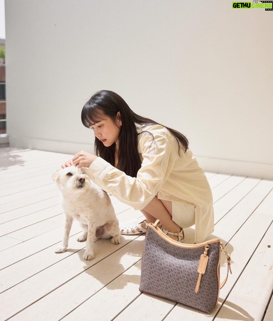 Yoon Seung-ah Instagram - #광고 사랑하는 🩵 루이까또즈의 새로운 모노그램 라인 “르퐁 컬렉션“ 그리고 틴틴이와 함께 했어요. 프렌치 감성 한스푼 ~ 틴틴이의 귀여움 한스푼~🩵 #LOUISQUATORZE #루이까또즈