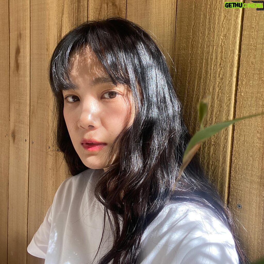 Yoon Seung-ah Instagram - 오늘 라일락 향기에 너무 행복했다.
