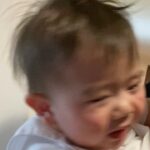Yu Shirota Instagram - ⚠️激きゃわ注意 今日は太郎(Oscar)1歳の誕生日。 気は早いが、どんな時でも大切な人を思いやれる、強く優しく、たくましい男になっておくれ。 心からおめでとう☺︎ #初子守 #長いので前半カット #パパのことをずっとママと呼ぶ太郎 #パパを見つけた時の顔よ #なんちゅー癒し #現場からは以上です
