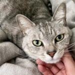 Yuka Itaya Instagram - おつかれさま あったかくして寝ようか