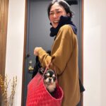 Yuka Itaya Instagram - 帰ろうとしたらカバンに入ってきた子　@soreyuke_vannoten 連れて来ちゃえばよかったな。 晴れたよ、今日も良き１日を！