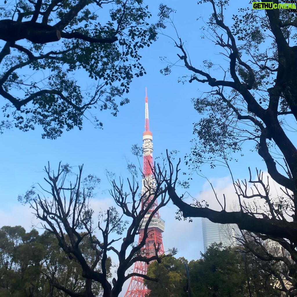 Yuka Itaya Instagram - 連日、ドラマ、東京タワーの撮影です 人を好きになること、恋が教えてくれる日々の彩り そして切なさを伝えられたらいいな。 ４月20日スタートです。 お楽しみにね。