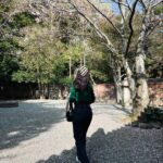 Yuki Kato Instagram - The beauty of Kamakura #diaryukikato