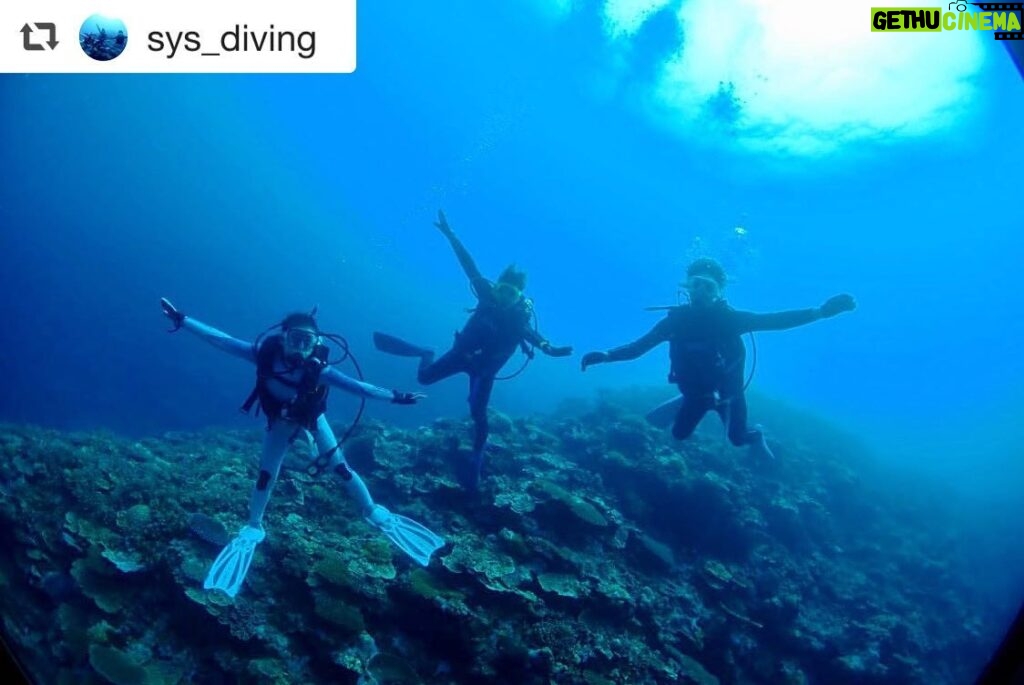 Yuko Oshima Instagram - #repost @sys_diving via @PhotoAroundApp 🐠🐟🐡 この度、スキューバーダイビングのライセンスを心友トリオ3人が取得したということで、スキューバーダイビング同好会を結成しました！！ 活動につきましてはこちらの【SyS diving同好会☺︎】専用アカウントでアップしていきたいと思います！！ お楽しみに〜〜🐠🐟🐡💕 ． ． #scubadiving #diving #心友トリオ #大島優子 #秋元才加 #宮澤佐江 いろんな海潜って いろんな写真を@sys_divingで アップしてきまーす🧜🏻‍♀️ 活動を広げていくつもりです。。。😏 Iriomote Island
