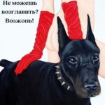 Yuliya Solomonova Instagram - Я согласна с Блиновскою Леной, Джоном Кехо и феей зубной, Всё сбывается в этой вселенной, И она наблюдает за мной. Я хочу и карьеру, и внешность, И вселенная видит запрос. Только есть небольшая погрешность Между планом и тем, что сбылось.  Я мечтала, что парень спортивный Постучит в мои двери: тук-тук. Он пришёл и курить запретил мне, Разогнал моих пьющих подруг.  Я мечтала о свадьбе на море, Как у лучших невест на земле, Быстро кончилась фэшн лав стори, Но остался кредит на семь лет.  Ладно с этим кредитом несчастным, Лишь бы мужа тянуло к жене. А на деле - наешься борща с ним, И на прочее сил уже нет.  И на прочее даже не тянет - После ужина муж не готов, Так и спим, обложившись детями, А проснутся - и снова готовь. Я мечтала про бизнес в декрете, Быть онлайн и пописывать в чат, А реальность - сижу в туалете С ноутбуком, а дети стучат. Ожидание - брови на зависть, И не видно, что это тату, А реальность - меня повязали Как шахидку в аэропорту.  Но потом отпустили, конечно, Извинились, прислали цветы. Ну откуда такая погрешность? Ведь сбываются, вроде мечты! И живем мы и дети, и мама, В небольшой, но квартире своей. Я мечтаю купить добермана,  Обожаю домашних зверей! #СолаМонова ps. Юля это я
