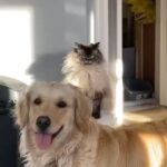 Yuliya Solomonova Instagram - И так наш век на радость скуден, И это видно по стихам, Поэтому давай не будем Переживать по пустякам! Не к месту сказанное слово, Проигранный токсичный спор - Случайный эпизод, но снова Ты делаешь его разбор. Как режиссер - анализ реплик, И как психолог - детских травм… Ночные демоны окрепли И не отпустят до утра. . Терзания самооценки: А если б так? ах если бы… Разбор второстепенной сценки В блокбастере своей судьбы. . Горят оплаченные курсы, Пропущен спорт, запущен быт, Ты не в потоке, не в ресурсе, Ты уничтожен, ты разбит. . Ты хочешь закурить, и виски, И взять реванш когда-нибудь… . Давай-ка хорошенько выспись, . А завтра обо всём забудь! . #соламонова #стихи #позитив