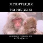 Yuliya Solomonova Instagram - Я согласна с Блиновскою Леной, Джоном Кехо и феей зубной, Всё сбывается в этой вселенной, И она наблюдает за мной. Я хочу и карьеру, и внешность, И вселенная видит запрос. Только есть небольшая погрешность Между планом и тем, что сбылось.  Я мечтала, что парень спортивный Постучит в мои двери: тук-тук. Он пришёл и курить запретил мне, Разогнал моих пьющих подруг.  Я мечтала о свадьбе на море, Как у лучших невест на земле, Быстро кончилась фэшн лав стори, Но остался кредит на семь лет.  Ладно с этим кредитом несчастным, Лишь бы мужа тянуло к жене. А на деле - наешься борща с ним, И на прочее сил уже нет.  И на прочее даже не тянет - После ужина муж не готов, Так и спим, обложившись детями, А проснутся - и снова готовь. Я мечтала про бизнес в декрете, Быть онлайн и пописывать в чат, А реальность - сижу в туалете С ноутбуком, а дети стучат. Ожидание - брови на зависть, И не видно, что это тату, А реальность - меня повязали Как шахидку в аэропорту.  Но потом отпустили, конечно, Извинились, прислали цветы. Ну откуда такая погрешность? Ведь сбываются, вроде мечты! И живем мы и дети, и мама, В небольшой, но квартире своей. Я мечтаю купить добермана,  Обожаю домашних зверей! #СолаМонова ps. Юля это я