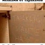 Yuliya Solomonova Instagram - У нас в песочнице все мамочки - хамьё, Их воспитательная техника опасна. Чужие дети - это дело не моё, Чужие деньги - тоже дело не моё, . Понятное дело, Но я не согласна! . На умном сайте сесть большой научный чат, Такую ересь там несут, всё с ними ясно, Там все тупые, значит лучше промолчать, Но я умнее, значит лучше промолчать, . Понятно, что лучше, Но я не согласна! . В семье, как в стае, безопасней с вожаком, Он всё добудет, разве это не прекрасно? А значит, надо соглашаться с мужиком, Понятно, надо соглашаться с мужиком, . Понятно, что надо, Но я не согласна! #СолаМонова #стихи Обязательно напишите, с чем вы не согласны!!! Нельзя держать в себе. Скажете - и полегчает!