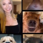 Yuliya Solomonova Instagram - Я согласна с Блиновскою Леной, Джоном Кехо и феей зубной, Всё сбывается в этой вселенной, И она наблюдает за мной. Я хочу и карьеру, и внешность, И вселенная видит запрос. Только есть небольшая погрешность Между планом и тем, что сбылось.  Я мечтала, что парень спортивный Постучит в мои двери: тук-тук. Он пришёл и курить запретил мне, Разогнал моих пьющих подруг.  Я мечтала о свадьбе на море, Как у лучших невест на земле, Быстро кончилась фэшн лав стори, Но остался кредит на семь лет.  Ладно с этим кредитом несчастным, Лишь бы мужа тянуло к жене. А на деле - наешься борща с ним, И на прочее сил уже нет.  И на прочее даже не тянет - После ужина муж не готов, Так и спим, обложившись детями, А проснутся - и снова готовь. Я мечтала про бизнес в декрете, Быть онлайн и пописывать в чат, А реальность - сижу в туалете С ноутбуком, а дети стучат. Ожидание - брови на зависть, И не видно, что это тату, А реальность - меня повязали Как шахидку в аэропорту.  Но потом отпустили, конечно, Извинились, прислали цветы. Ну откуда такая погрешность? Ведь сбываются, вроде мечты! И живем мы и дети, и мама, В небольшой, но квартире своей. Я мечтаю купить добермана,  Обожаю домашних зверей! #СолаМонова ps. Юля это я