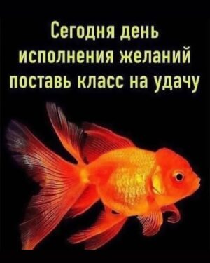 Yuliya Solomonova Instagram - Помнишь, к однокласснице ушёл школьной,
А потом вернулся и принёс шубу,
Мне, конечно, милый, до сих пор больно,
Но и шубу тоже до сих пор ношу я.

А когда с танцоршей загулял пошлой,
Мне купил машину, чтоб опять вместе.
Выходка с танцоршей навсегда в прошлом,
А машина вроде ничего – ездит.

В августе бухгалтершу свозил в Канны,
Хоть её открыто называл серой.
Мне, чтоб извиниться, подарил камни:
Три карата – в перстень и по два – в серьги.

У меня истерика: хожу плачу,
Ежели представлю, как тебе стелят.
Радует одно: что отписал дачу –
Это за рыбалку и за ту стерлядь.

Не могу привыкнуть к твоему блуду –
Не заставить саблю положить в ножны.
С горя ипотечную взяла ссуду,
Так что десять лет ещё прощать можно!

#семья #стихи #семейнаяпсихология #соламонова