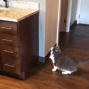 Yuliya Solomonova Instagram - В рот не возьму котлету —
Пью теперь только воду.
Не похудела к лету —
Худею к Новому Году!
.
Только б хватило нервов
Справиться с этим стрессом —
Меньше на 5 размеров
Платье взяла с разрезом.
.
Главное — установки,
Сахар уже противен.
Пусть поразят обновки
Всех на корпоративе!
.
Думаете — не сброшу?
Глупость и предрассудок!
.
Метаболизм хороший,
.
Есть ещё трое суток!
.
#снаступающим #соламонова