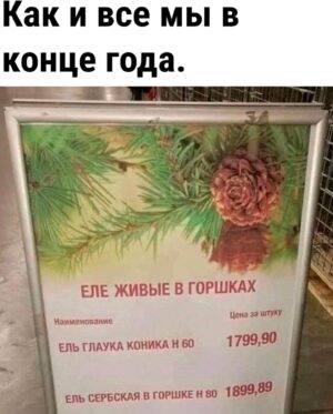 Yuliya Solomonova Instagram - В рот не возьму котлету —
Пью теперь только воду.
Не похудела к лету —
Худею к Новому Году!
.
Только б хватило нервов
Справиться с этим стрессом —
Меньше на 5 размеров
Платье взяла с разрезом.
.
Главное — установки,
Сахар уже противен.
Пусть поразят обновки
Всех на корпоративе!
.
Думаете — не сброшу?
Глупость и предрассудок!
.
Метаболизм хороший,
.
Есть ещё трое суток!
.
#снаступающим #соламонова