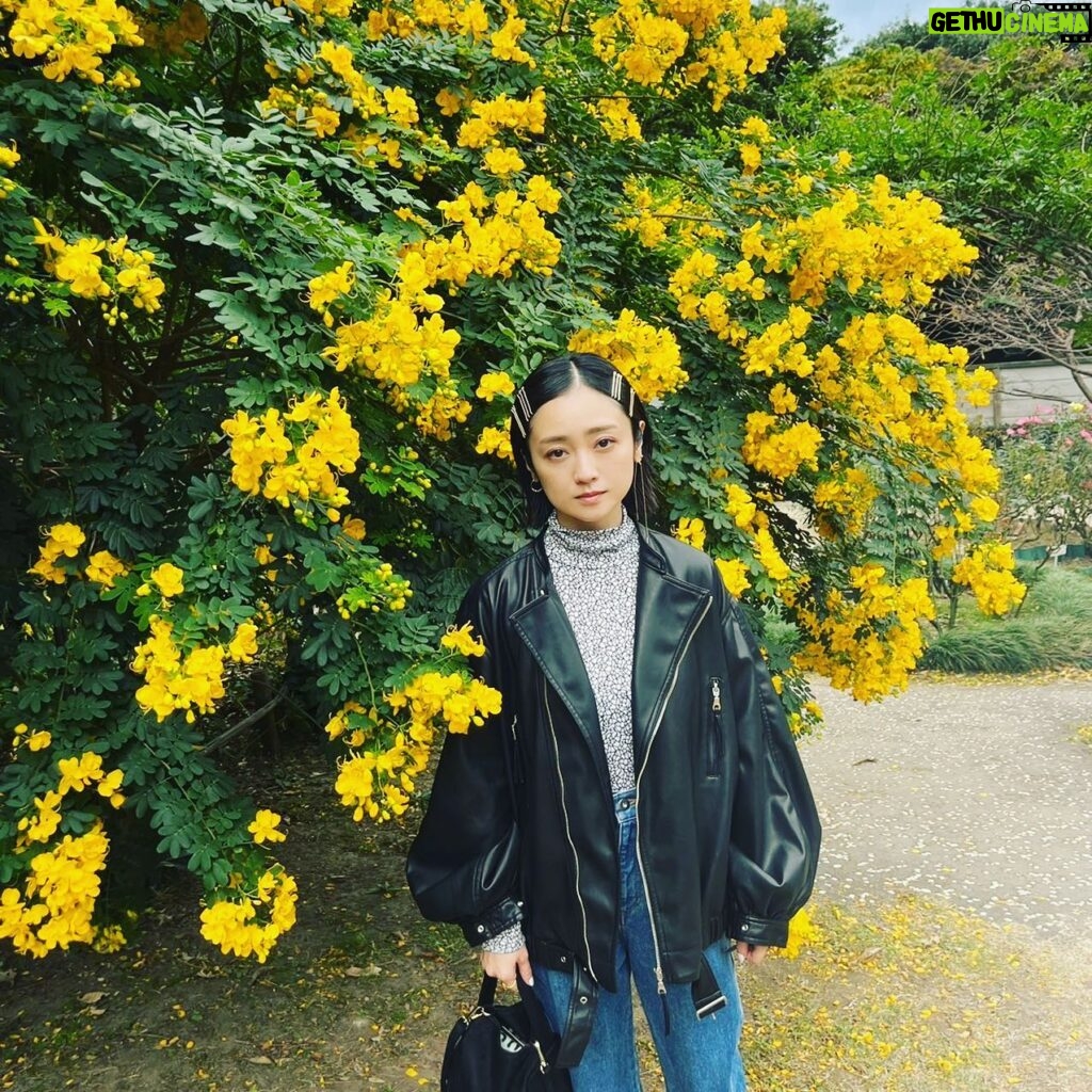 Yumi Adachi Instagram - 💛💛💛 咲き乱れる感じのお花が好き。