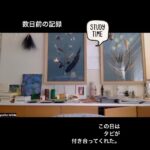 Yuriko Ishida Instagram - 数日前のレッスンの記録。 毎回，2時間のレッスンの後に その日の記録として、こうしてレコーディングをしています。レッスン中はもちろん、真面目に 必死でやっております。 フランス語，基礎の基礎からやってますが 流石にだんだん頭に張り付いてきました。 なんて難しい言語なんだ！と思うと同時に なんて美しくて魅力的な言葉なんだ！と 感動すら覚える。日本語はフランスの皆さんには どんなふうに聞こえているのだろう… そして、全く関係ない話題ですが わたくしはTwitterはやっておりません。 私の名前でTwitterをしているかたは 当然，私ではないです。ご注意くださいますように。