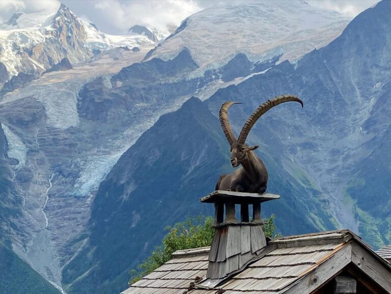 Yvonne Strahovski Instagram - It’s not every day you come across a giant mountain goat sitting on a roof with the French Alps in the background I mean CMON !! Are you kidding me France !? #photooftheday