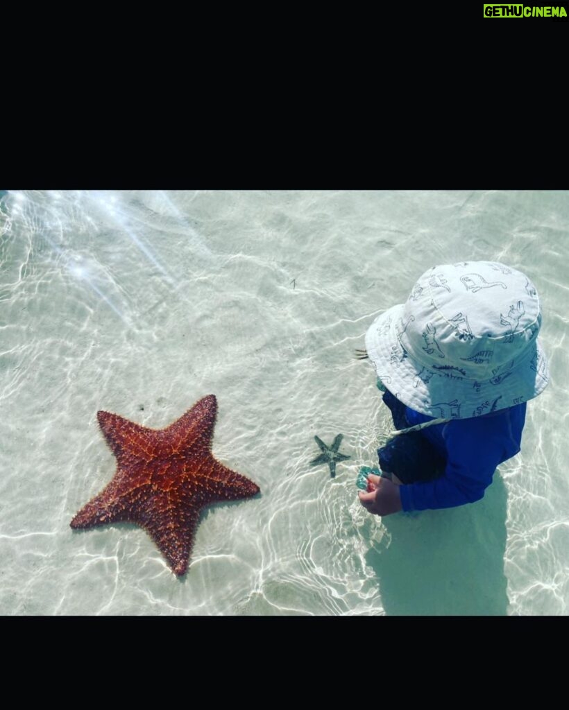 Yvonne Strahovski Instagram - Baby meets Starfish 🌊