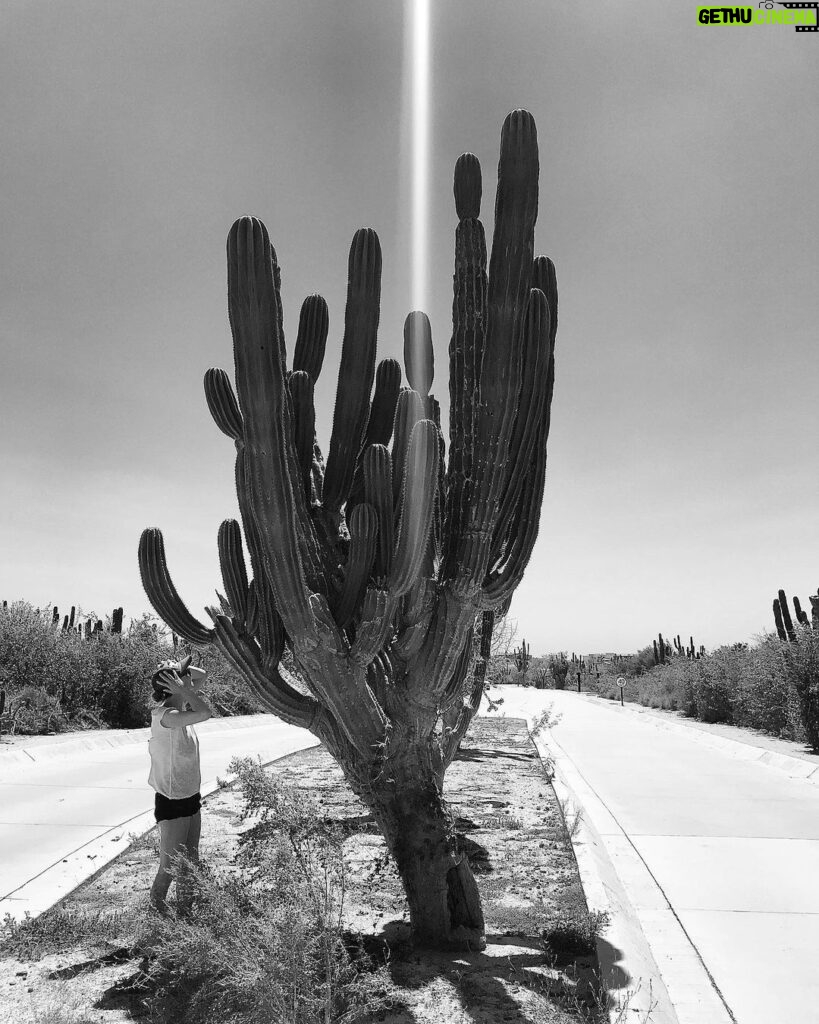 Yvonne Strahovski Instagram - Just couldn’t wrap my head around the size of these things 🌵🤓 #cabosanlucas