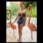 Yvonne Strahovski Instagram – A few more snaps from @grandhyattbahamar ♥️☀️🦩Thank you again @bahamarresorts  for being wonderful. We will be back one day I hope ♥️☀️🦩We loved this trip so much 💋