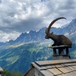 Yvonne Strahovski Instagram - It’s not every day you come across a giant mountain goat sitting on a roof with the French Alps in the background I mean CMON !! Are you kidding me France !? #photooftheday