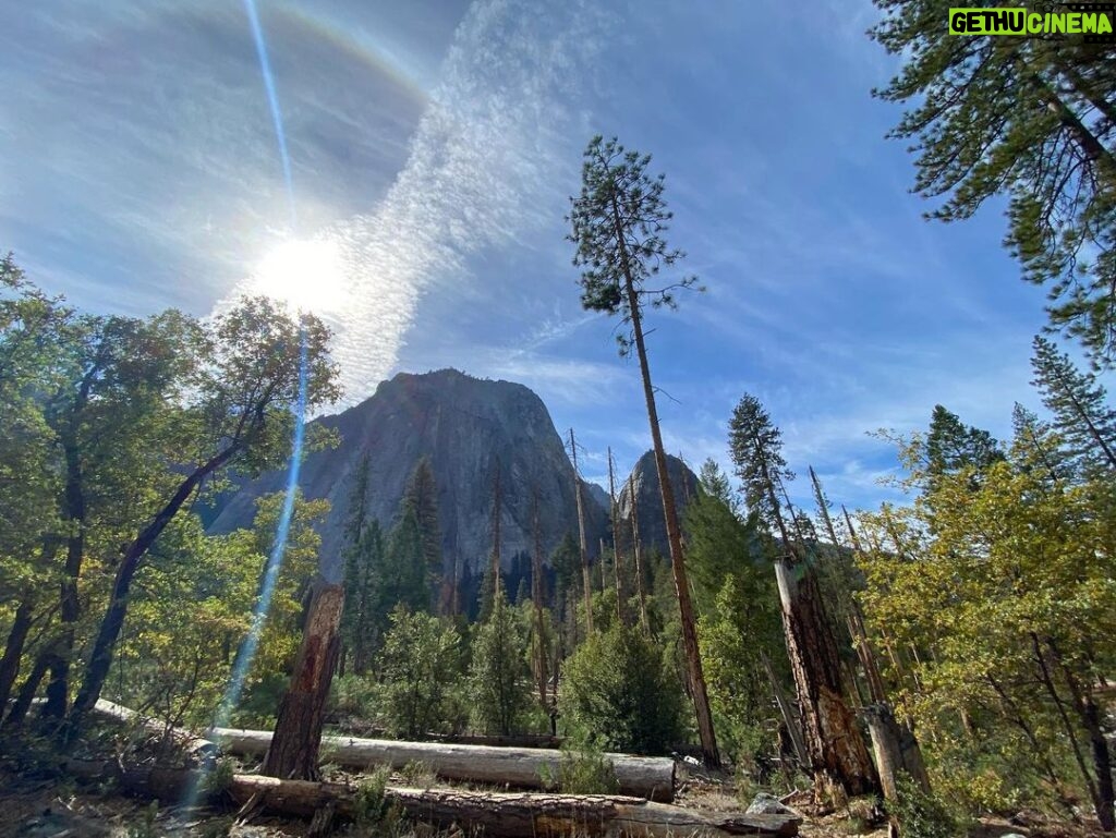 Yvonne Strahovski Instagram - #yosemite is STUNNING