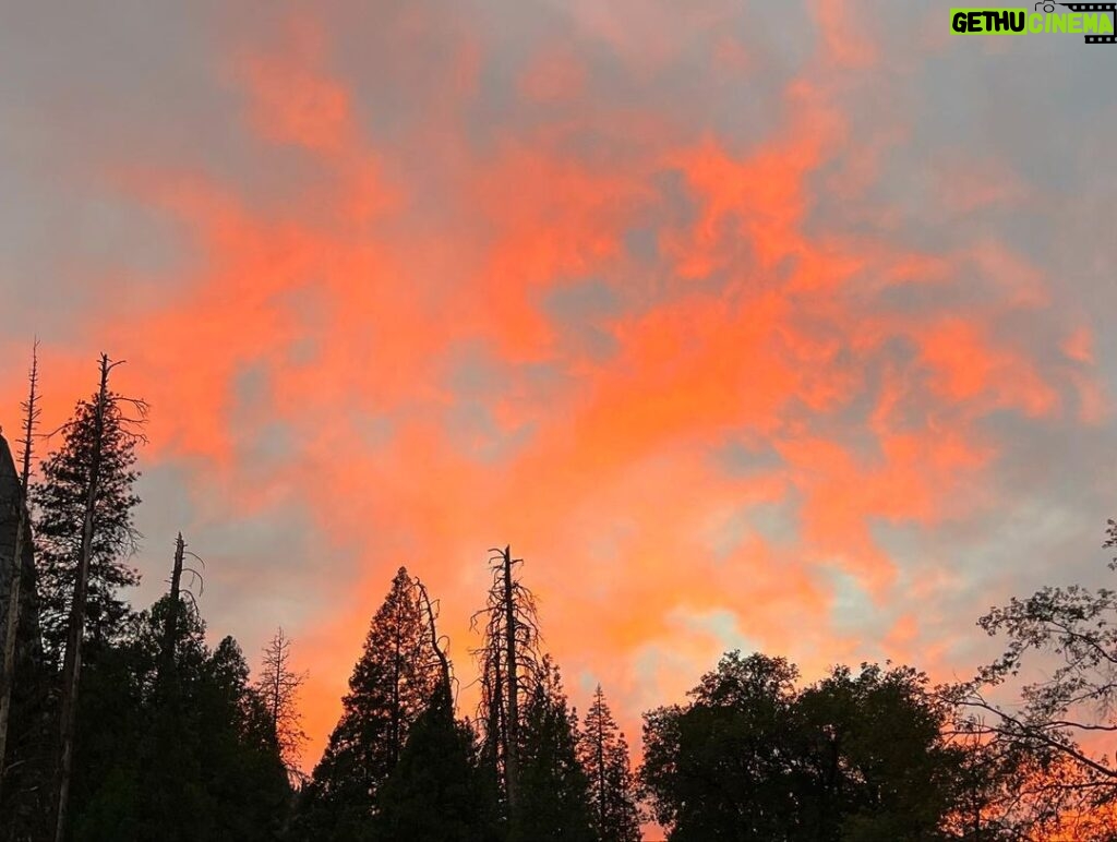 Yvonne Strahovski Instagram - #yosemite is STUNNING