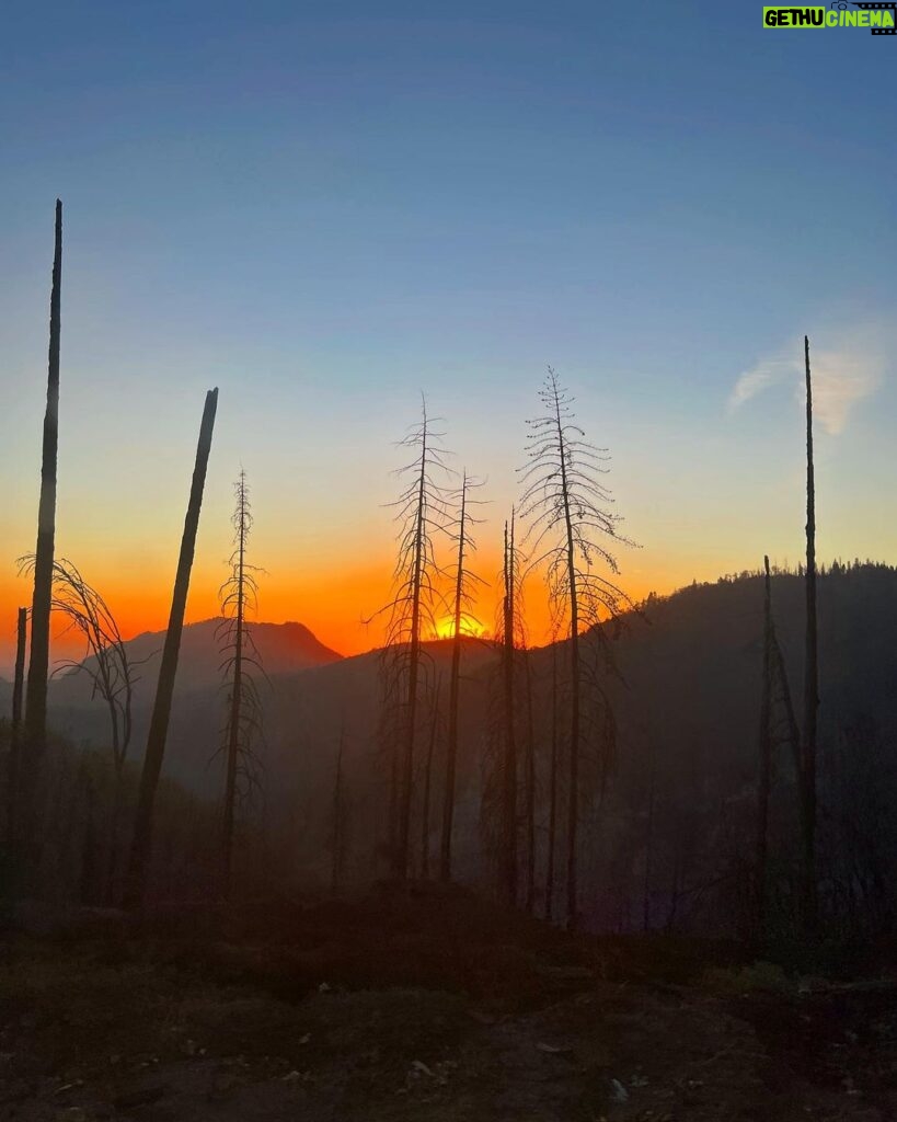 Yvonne Strahovski Instagram - Hey Bear #sequoianationalpark