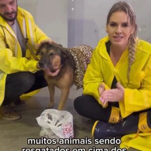 Zélia Duncan Instagram - Juntos sempre podemos ser melhores, divulguem, ajudem como puderem de perto ou de longe!