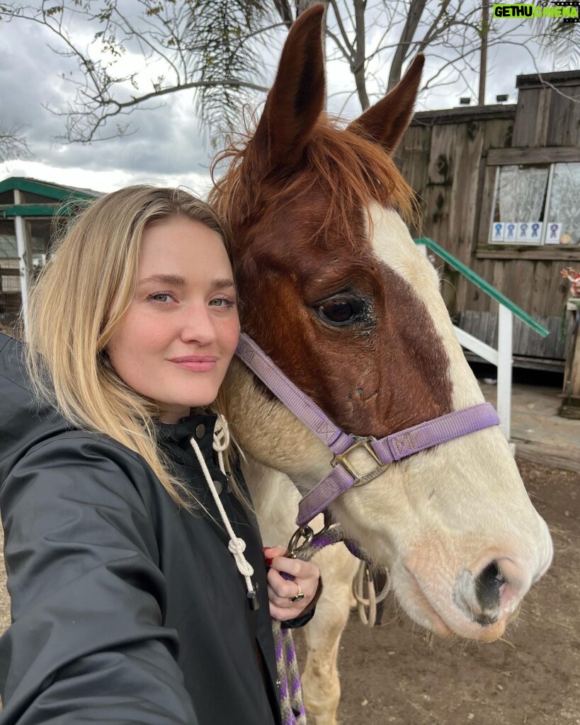 AJ Michalka Instagram - Ending the year with my favorite human, our 17 year old pup and some trail riding.