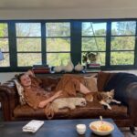 AJ Michalka Instagram - Topanga Living