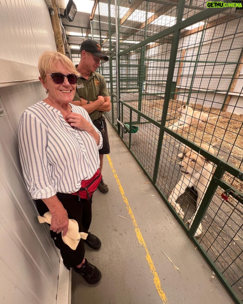 Abbie Eaton Instagram - Took mum to pick up some big cat poo the other month for her 70th birthday 🎂 🐅 💩 Brilliant day at @thebigcatsanctuaryuk learning about the cats, making their beds, enriching their enclosures and feeding them! Really great facility that looks after cats that have problems, are nearing the end of their lives so need a comfy place or medical help. They couldn’t be released into the wild so this place is a haven for them. No hundreds of public walking around each day, it’s by appointment only and for educational purposes. Great place! #TheBigCatSanctuary