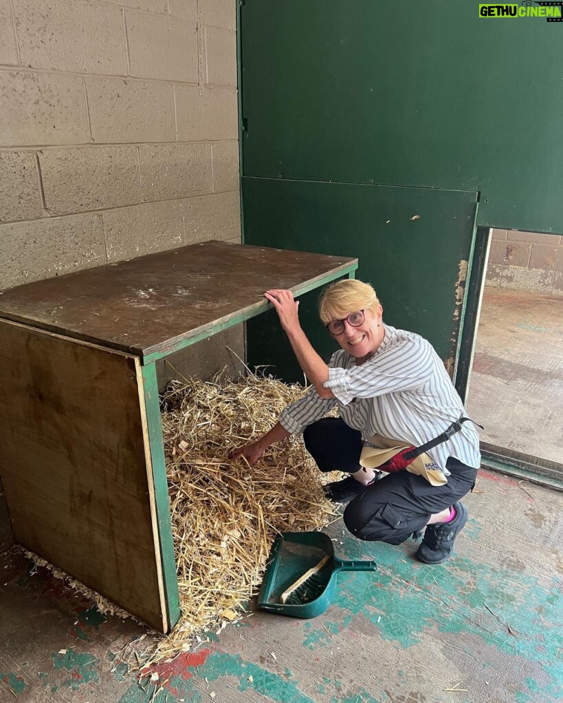 Abbie Eaton Instagram - Took mum to pick up some big cat poo the other month for her 70th birthday 🎂 🐅 💩 Brilliant day at @thebigcatsanctuaryuk learning about the cats, making their beds, enriching their enclosures and feeding them! Really great facility that looks after cats that have problems, are nearing the end of their lives so need a comfy place or medical help. They couldn’t be released into the wild so this place is a haven for them. No hundreds of public walking around each day, it’s by appointment only and for educational purposes. Great place! #TheBigCatSanctuary