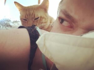 Abby Wilde Instagram - Send help. I’ve been mauled by a vicious tiger. #dammitwatson #catstagram