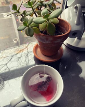 Abigail Hawk Instagram - I am not much of a resolution person. ‘Resolute’ is unwavering, unswerving. ‘Resolute’ seems so brittle and harsh - I suppose we could view Winter that way. But I see Winter as coziness and warmth; a nesting and nurturing; 🪽rest🪽. I like my new years gentle, easy, soft. I baby them like the new creatures they are. After the old year ended in bombardment - visceral, visual, virtual - I yearned for complete quiet. Hadn’t floated since 2017, when I was deeply entrenched in postpartum depression. Today’s experience @liftfloats was different. Then, I so desperately grasped for peace. An escape. Today, I just… let go. I let peace come to me if she wanted to. No need for escape… rather… a release of what was no longer serving me. I wasn’t able to fully settle my mental tab today, but I began building a wavering foundation. One that will move with me🪽gently🪽as I build this structure that will become 2024. Gently… NY friends, if you are interested in the transformational power of floating, I have an incredible discount code for $30 off your first float! 🛟FloatAH1🛟 Tell the amazing humans @liftfloats I sent you! #liftfloats #sensorydeprivation #liftnextlevelfloats #brooklyn #newyorkcity