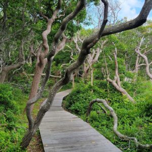 Abigail Savage Instagram - Mediocre photos of beautiful things
Fruitful nature walk yesterday!